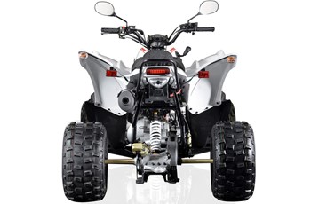 Aeon Cobra 400 2017 - Bild 10