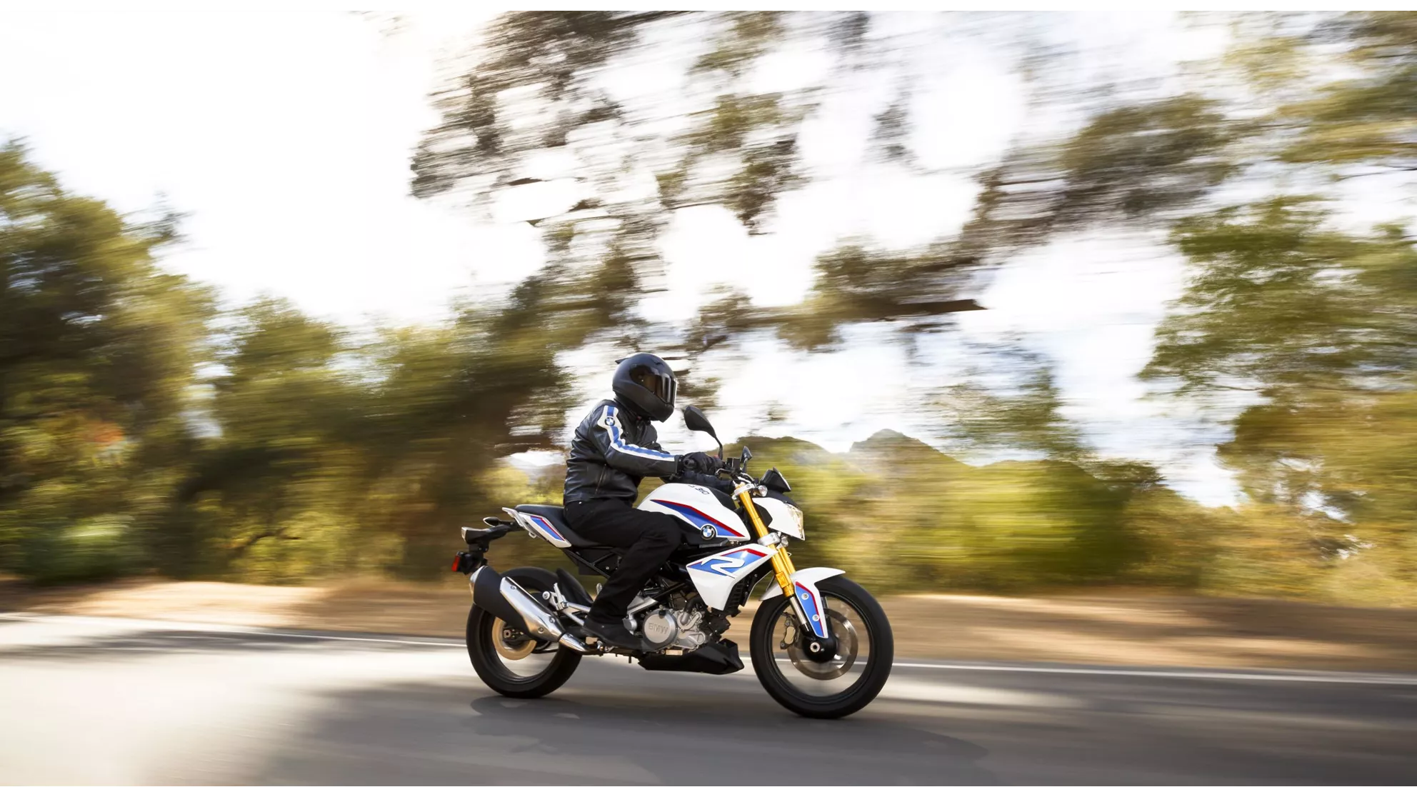 BMW G 310 R - Image 21 BMW G 310 R - Image 21