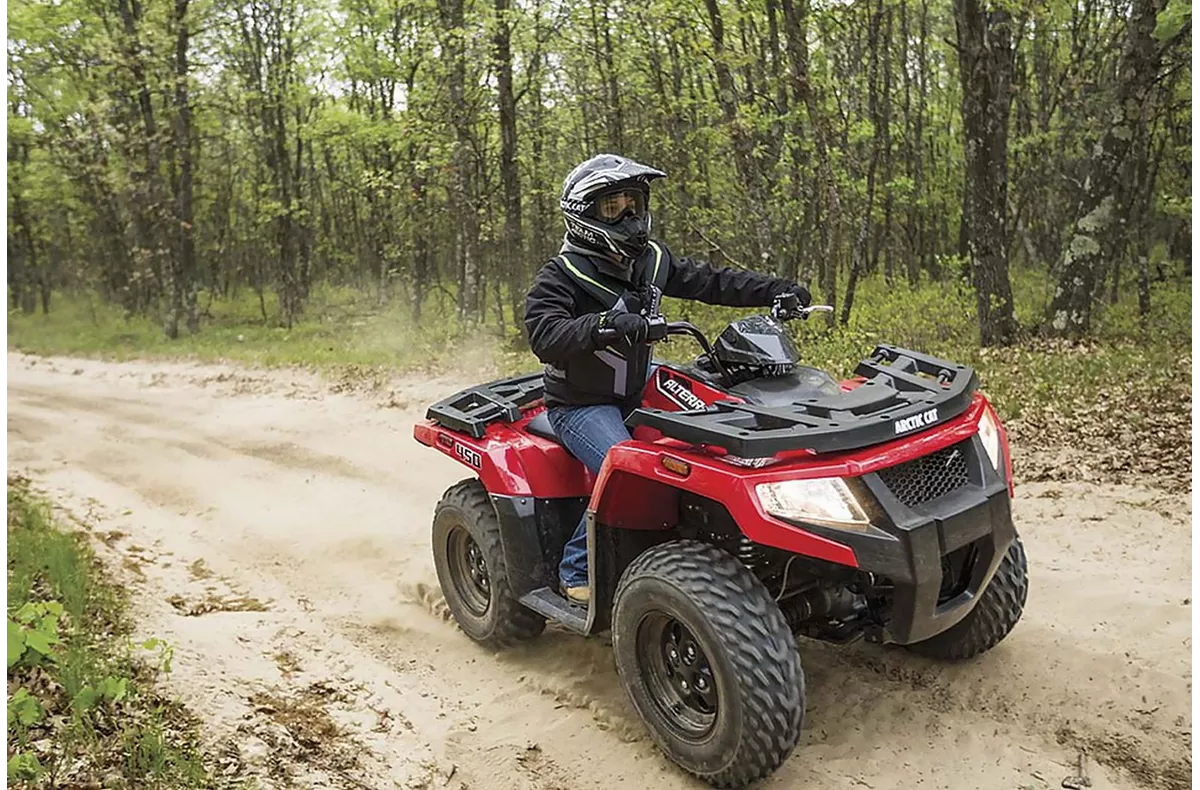 Arctic Cat Alterra 300 Arctic Cat Alterra 300