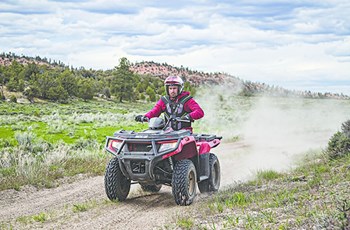 Arctic Cat Alterra 450 4x4 2017 - Bild 5