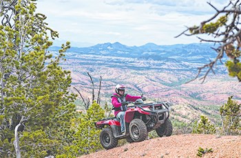 Arctic Cat Alterra 450 4x4 2017 - Bild 6