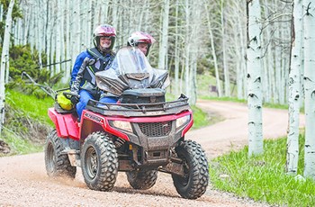 Arctic Cat Alterra TRV 700 2017 - Bild 2