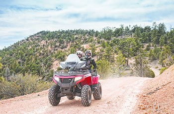 Arctic Cat Alterra TRV 700 2017 - Bild 4