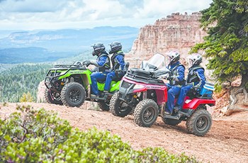 Arctic Cat Alterra TRV 700 2017 - Bild 5