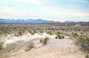 Arctic Cat Wildcat 1000 X LTD 2017 - Bild 6