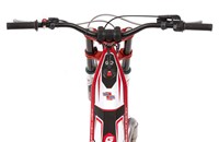 GASGAS TXT 250 Pro Racing 2017 - Bild 11 GASGAS TXT 250 Pro Racing 2017 - Bild 11