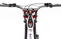 GASGAS TXT 300 Pro Replica 2017 - Bild 6