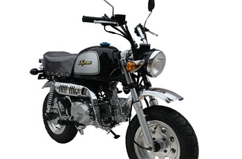 Skyteam Gorilla 125 2018 - Bild 10