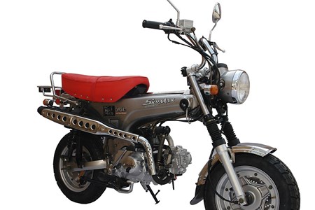 Skyteam Skymax 125 2018