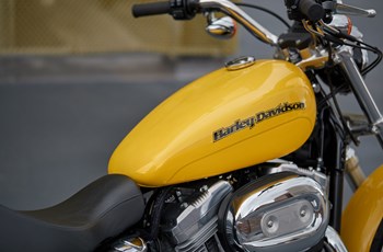 Harley-Davidson Sportster XL 883 L SuperLow 2018 - Bild 6
