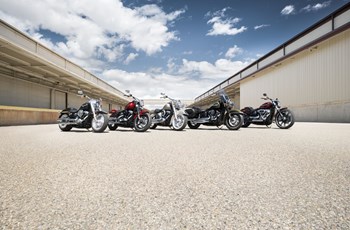 Harley-Davidson Softail Street Bob FXBB 2018 - Bild 3 Harley-Davidson Softail Street Bob FXBB 2018 - Bild 3