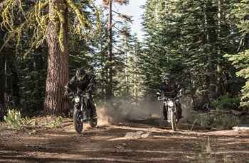 Zero DS 2018 - Bild 20 Zero DS 2018 - Bild 20