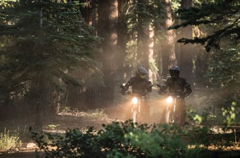 Zero DS 2018 - Bild 23 Zero DS 2018 - Bild 23