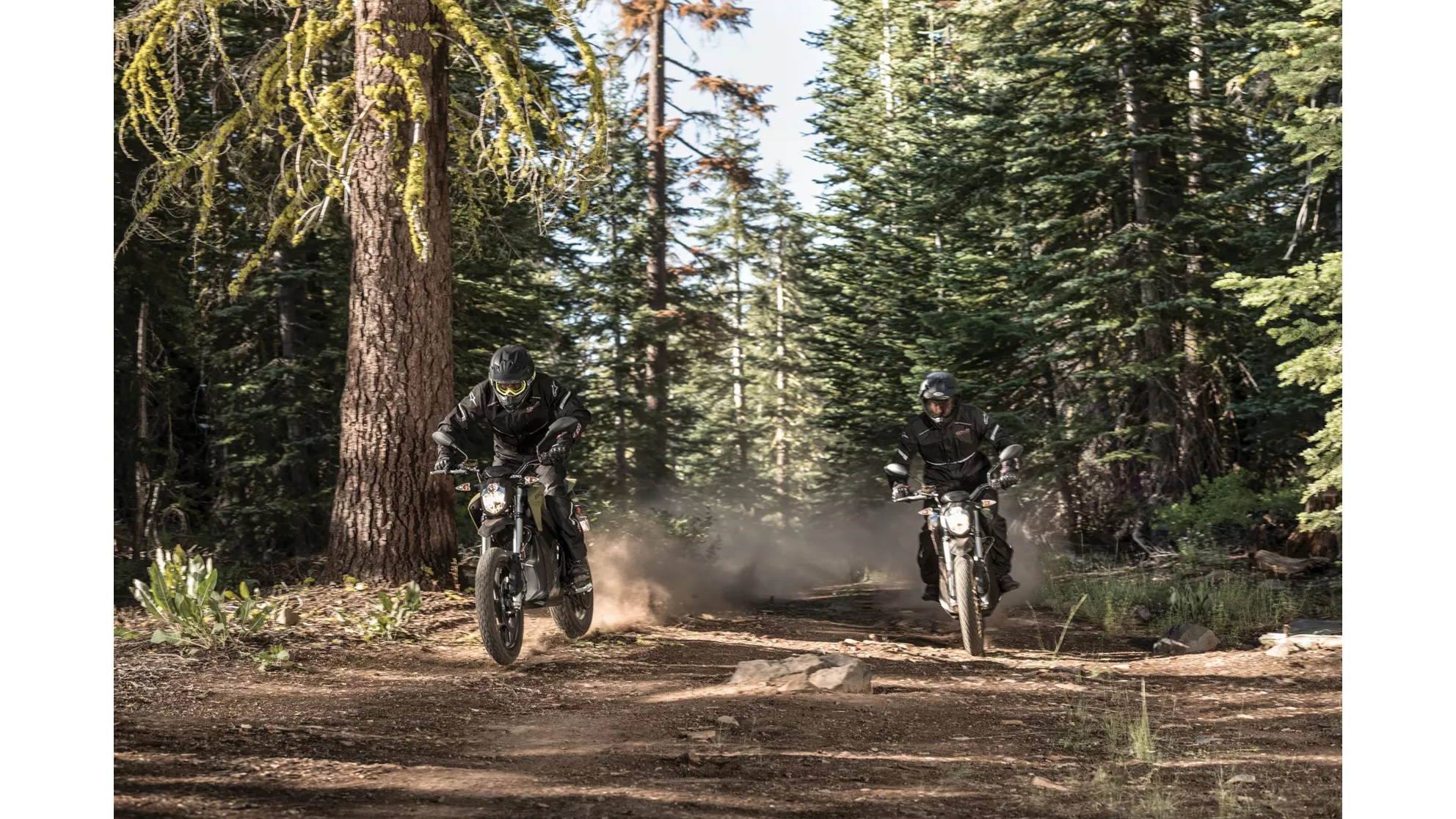 Zero DSR - Image 14 Zero DSR - Image 14