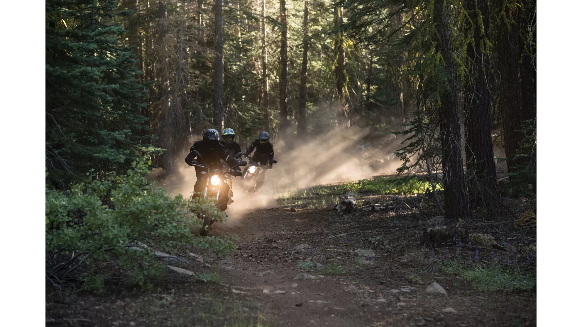 Zero DSR - Image 15 Zero DSR - Image 15