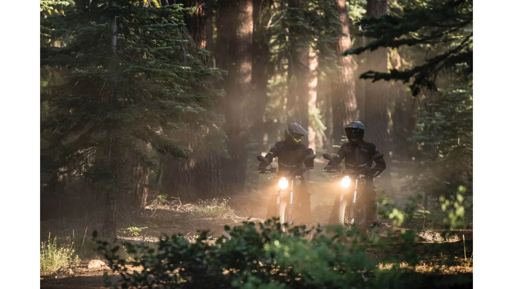 Zero DSR - Image 16 Zero DSR - Image 16