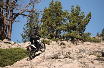 Zero FX 2018 - Bild 11 Zero FX 2018 - Bild 11