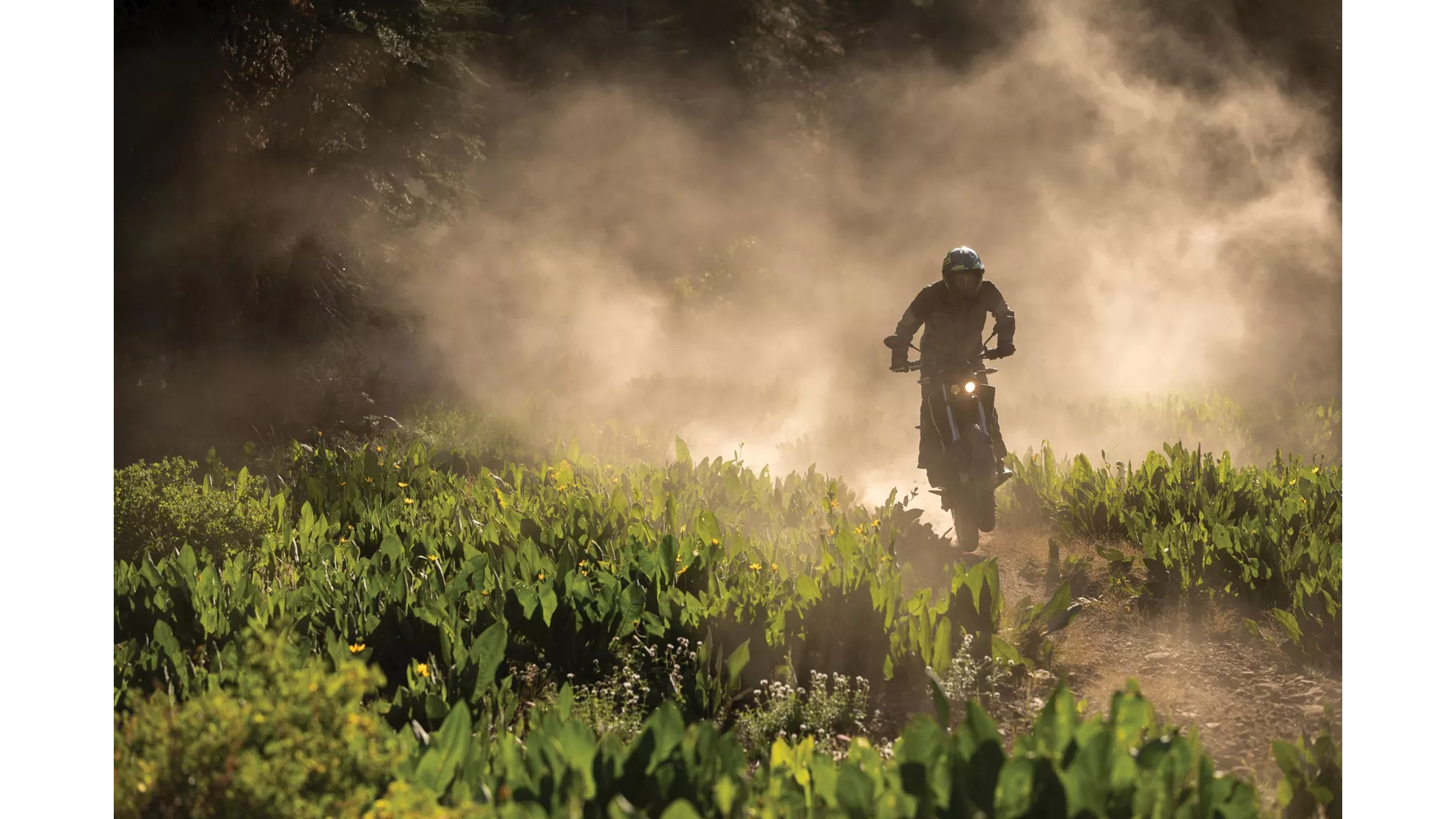 Zero FX - Image 10 Zero FX - Image 10