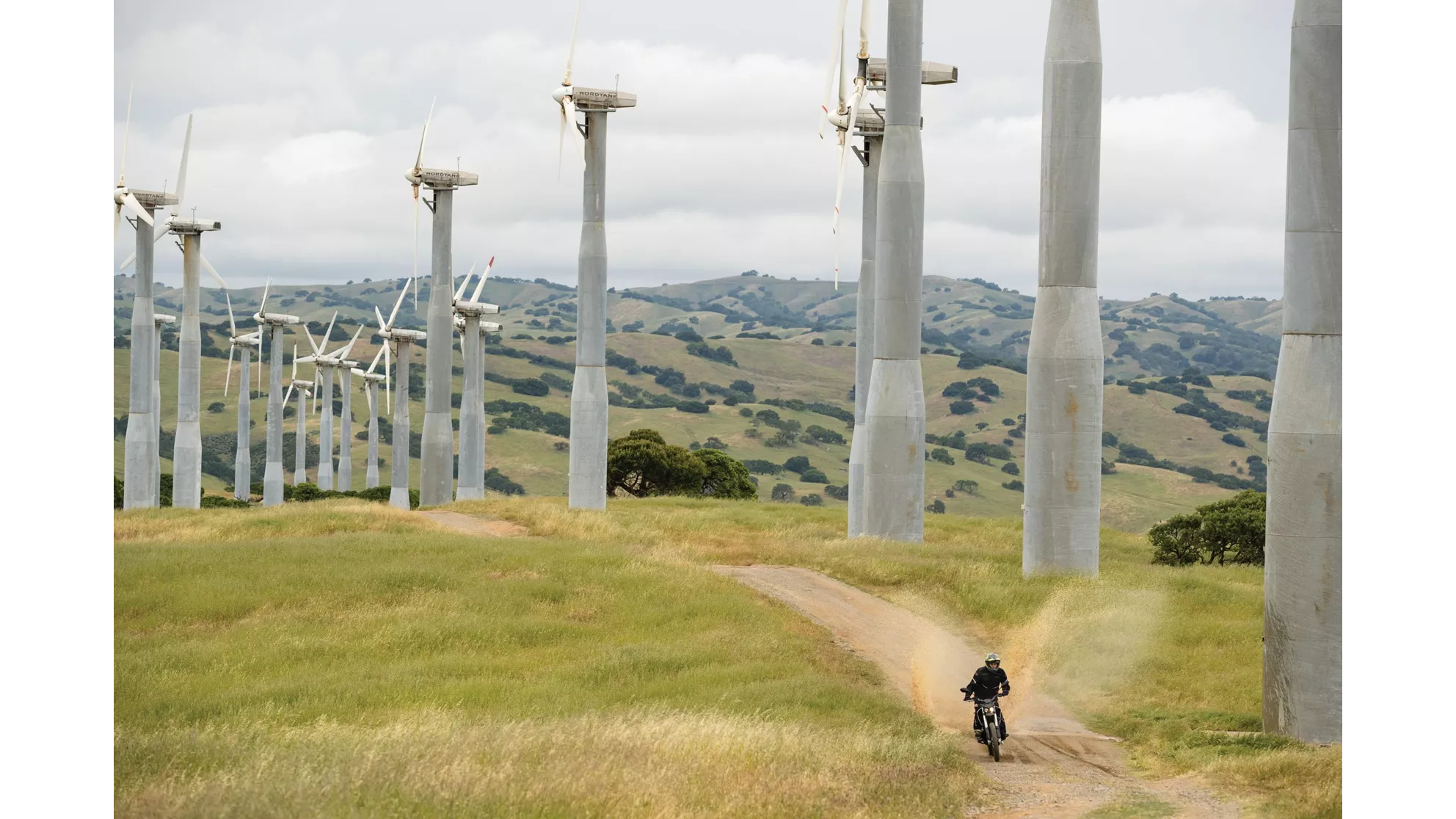 Zero FX - Image 13 Zero FX - Image 13