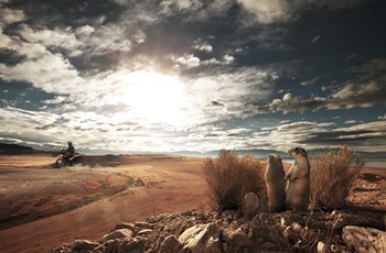 Honda CRF250 Rally 2018 - Bild 17