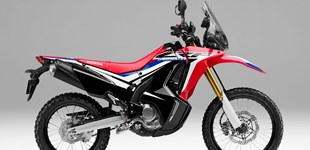 Yamaha YZ250F 2021 vs Honda CRF250 Rally 2018