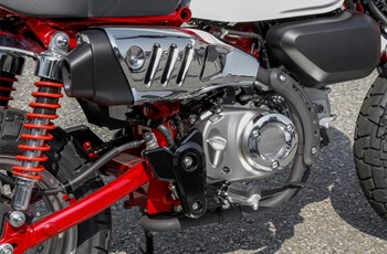 Honda Monkey 125 2018 - Bild 11 Honda Monkey 125 2018 - Bild 11