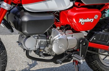 Honda Monkey 125 2018 - Bild 19 Honda Monkey 125 2018 - Bild 19