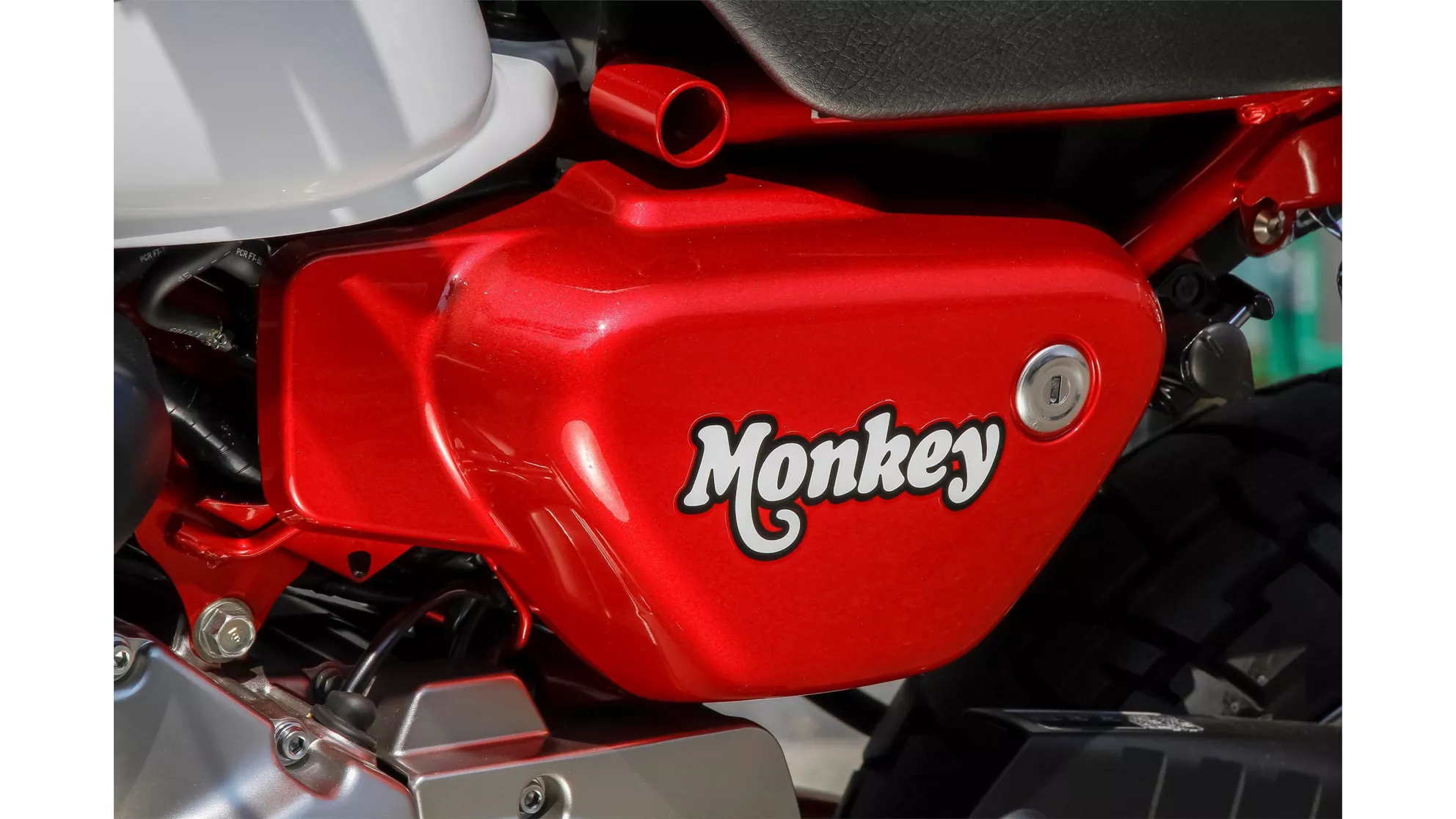 Honda Monkey 125 - Image 18 Honda Monkey 125 - Image 18