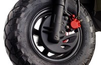 Tauris Movida 125 2018 - Bild 6 Tauris Movida 125 2018 - Bild 6