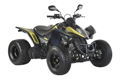 Kymco Maxxer 300 Supermoto 2018