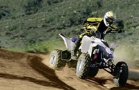 Suzuki Quadsport Z400 2018 - Bild 2