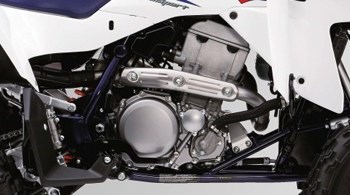 Suzuki Quadsport Z400 2018 - Bild 5