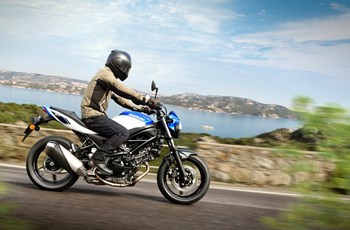 Suzuki SV650 2018 - Bild 2 Suzuki SV650 2018 - Bild 2