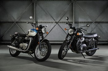 Triumph Bonneville T100 Black 2018 - Bild 15 Triumph Bonneville T100 Black 2018 - Bild 15