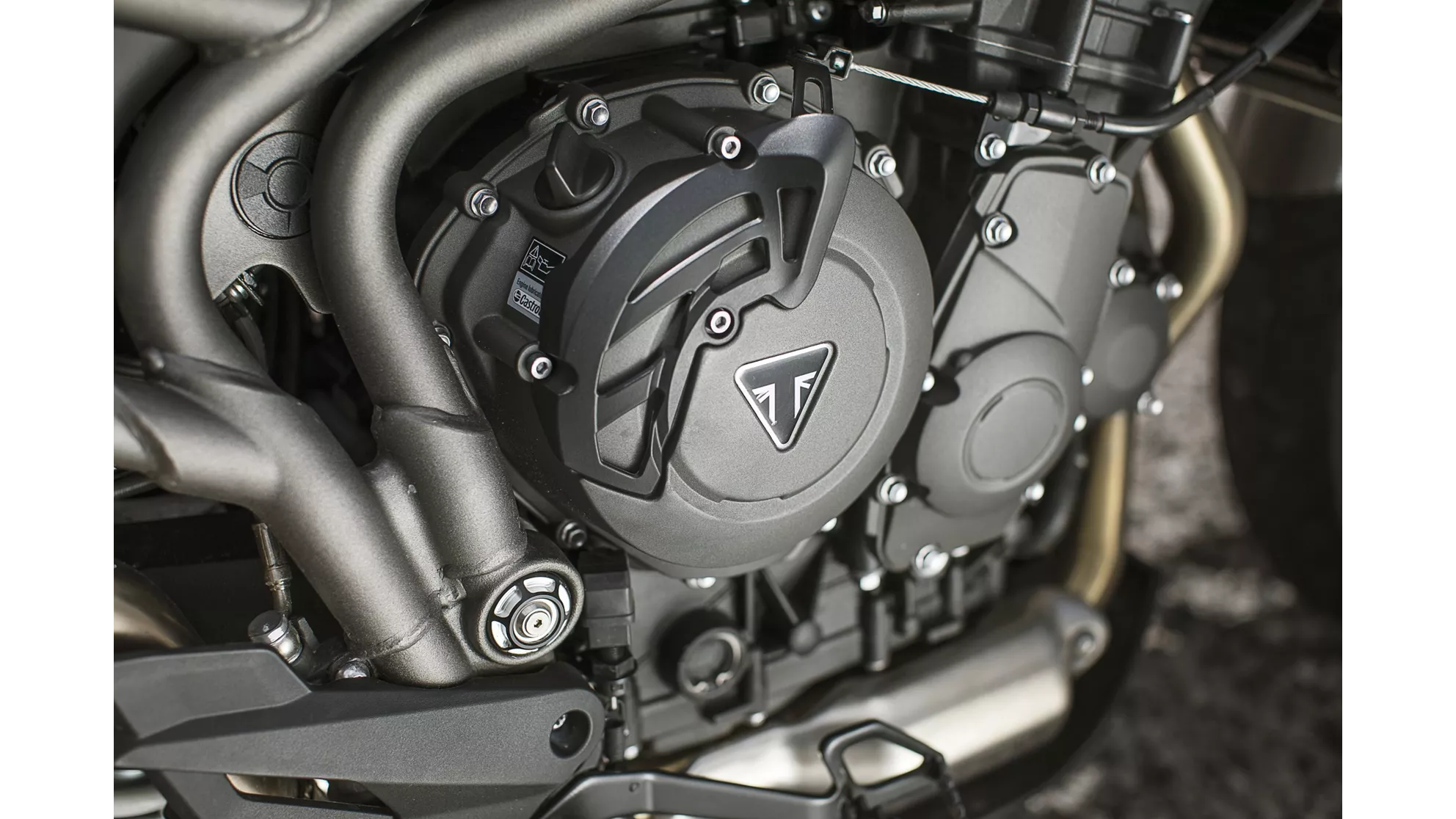 Triumph Tiger 800 XRx - Image 10 Triumph Tiger 800 XRx - Image 10