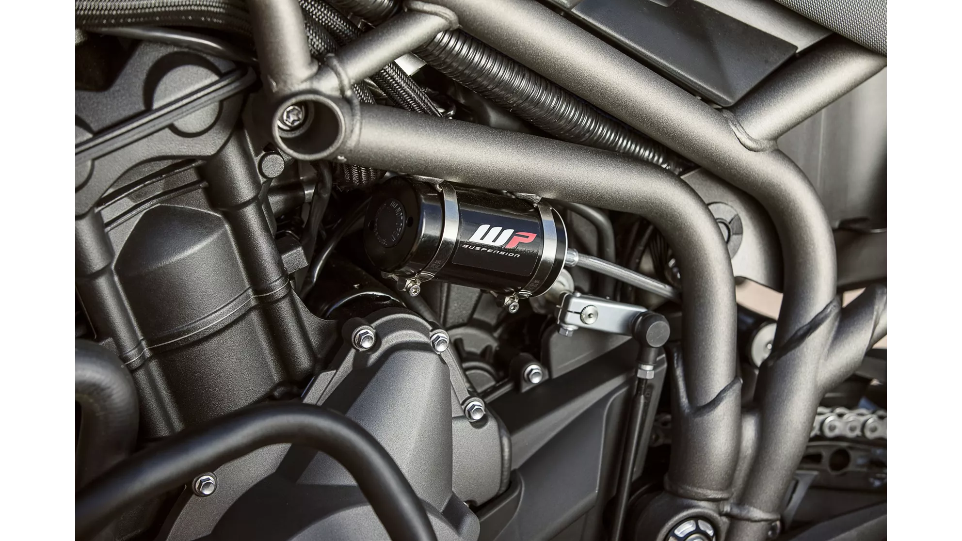 Triumph Tiger 800 XCx - Image 11 Triumph Tiger 800 XCx - Image 11