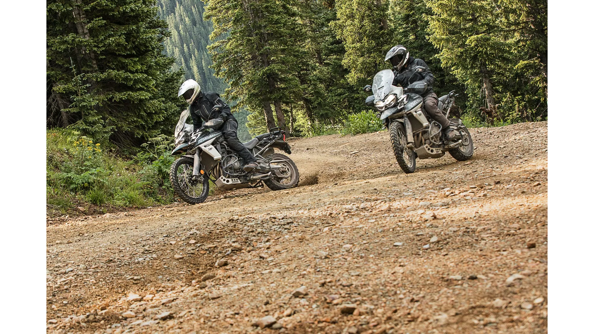 Triumph Tiger 800 XCx - Image 5 Triumph Tiger 800 XCx - Image 5