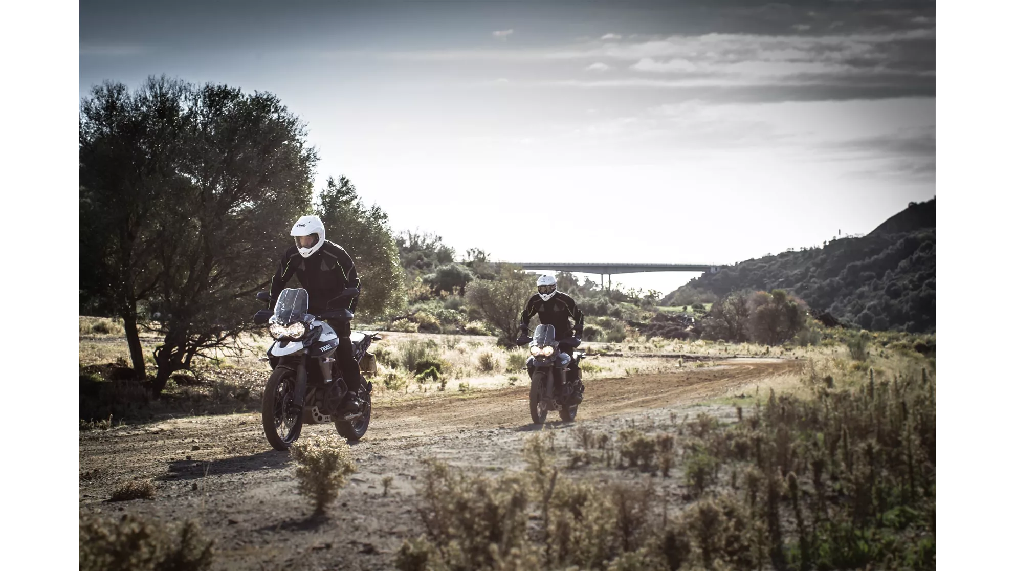 Triumph Tiger 800 XCx - Image 7 Triumph Tiger 800 XCx - Image 7