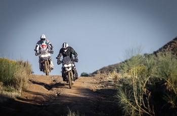 Triumph Tiger 800 XCx 2018 - Bild 12 Triumph Tiger 800 XCx 2018 - Bild 12