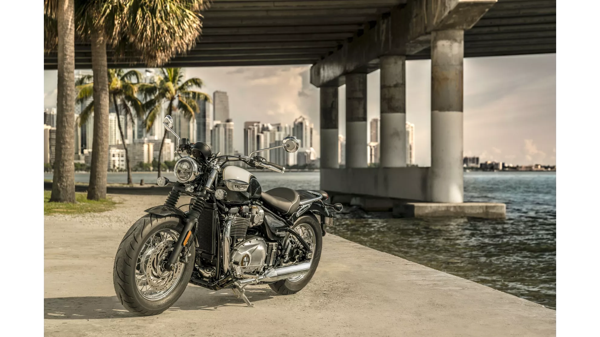 Triumph Bonneville Speedmaster - Image 5 Triumph Bonneville Speedmaster - Image 5