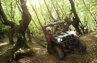 Yamaha Rhino 700 ie 2018 - Bild 2