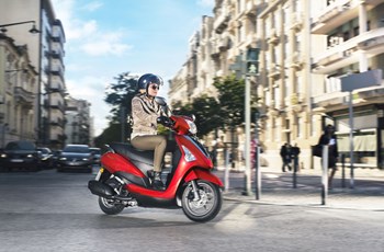 Yamaha D'elight 2018 - Bild 2