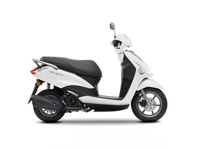 Yamaha D'elight 2018 Yamaha D'elight 2018