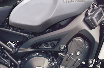 Yamaha XSR900 2018 - Bild 13 Yamaha XSR900 2018 - Bild 13