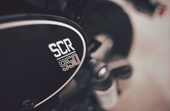 Yamaha SCR950 2018 - Bild 24 Yamaha SCR950 2018 - Bild 24
