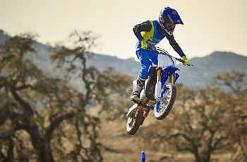 Yamaha YZ65 2018 - Bild 2