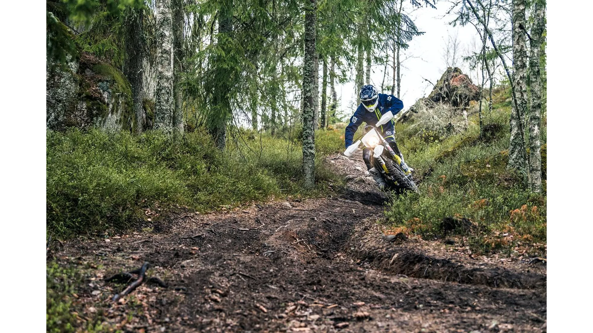 Husqvarna FE 250 - Image 5 Husqvarna FE 250 - Image 5