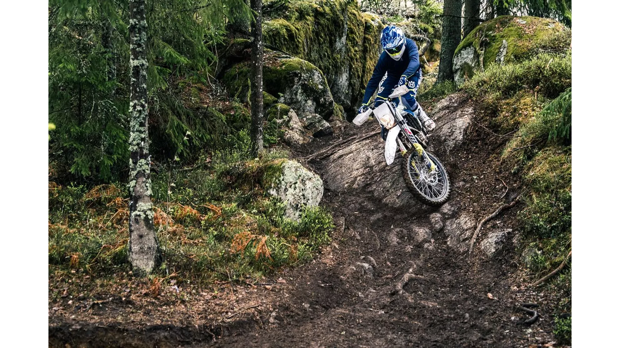 Husqvarna FE 250 - Image 8 Husqvarna FE 250 - Image 8