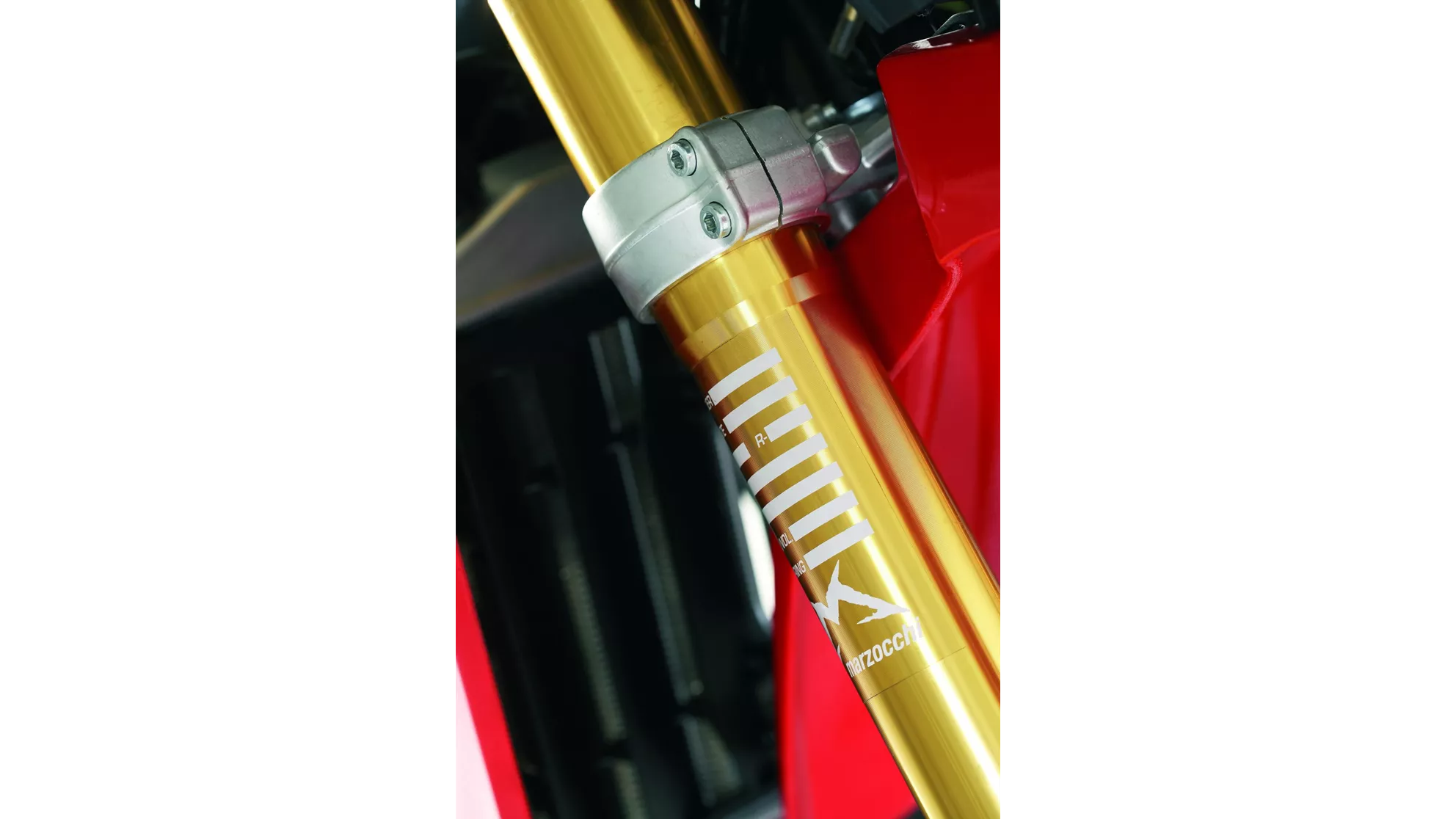 Rieju Marathon Cross 125 - Image 7 Rieju Marathon Cross 125 - Image 7