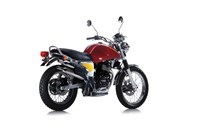 SWM Silver Vase 440 2018 - Bild 6